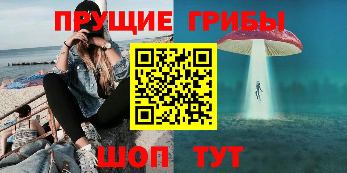 Псилоцибиновые грибы GOLDEN TEACHER Амурск