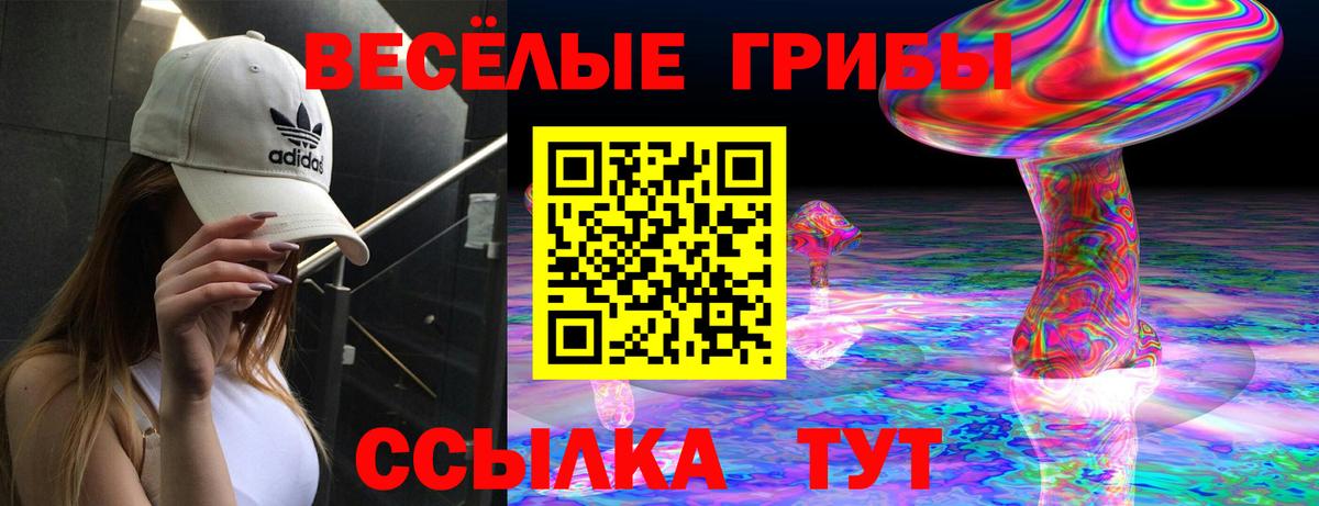 Псилоцибиновые грибы Psilocybine cubensis  Вход с VPN  Амурск  Галлюциногенные грибы GOLDEN TEACHER 